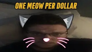 Streamer Meows For Money