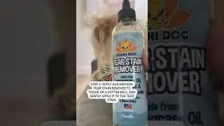 3 easy steps to eliminate your pups tear stains!