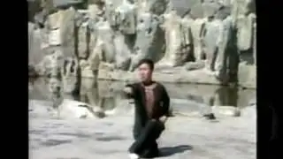 Shaolin Boxing - Luohan Quan [ 少林拳－罗汉拳 ]