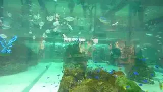 AEON 沖縄ライカム　ミニ水族館