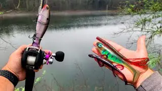 Big Baits Only Fishing Challenge! (Crazy Catch)