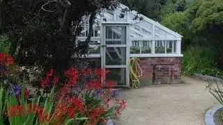 Malahide Memories 3: Malahide Castle's Walled Garden