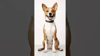 El perro sin ladridos #perro #perros #shortsfeed #sorprendente #shorts