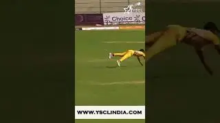 YSCL |Cricket Reels |Songs on Cricket |Junior IPL |Cricket Talent Hunt | #youngstarscricketleague