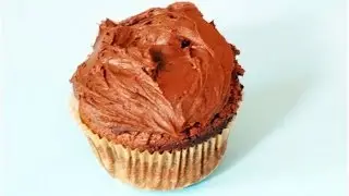 Download the Paleo Recipe Book Now