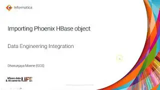 How to Import Phoenix HBase Object in Data Engineering Integration