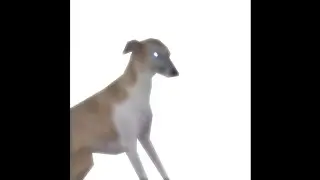 I grieve for the ones who haven't left yet (original version)