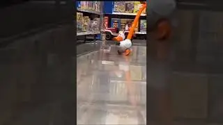toy duck running meme