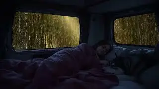 🌧️🚐😴 ASMR Rain Sleep Enclosure | Calm Night in a Van