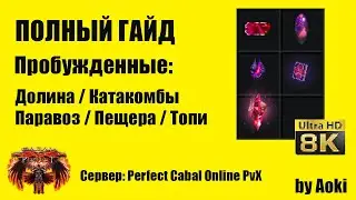 Гайд по Пробужд. Долине/Катакомбам/Паравозу/Пещере/Топи Мистана | Perfect Cabal Online PvX | by Aoki