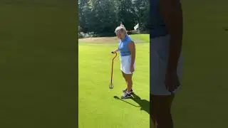 The Ultimate Pitchmark Repairer?