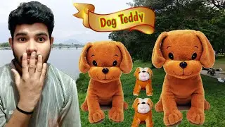 Teddy Bear | Dog Teddy | Teddy | Teddy unboxing | Cute baby