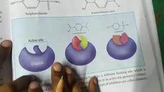Enzymes as drug target... 12th chemistry... Chemistry in everyday life in தமிழ்... Part 4...🙂
