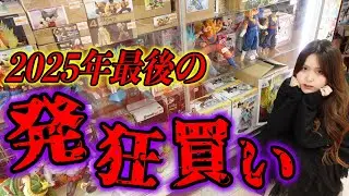 【ブラショ】2025年最後にフィギュア店で暴れ過ぎました【ワンピースヒロアカドラゴンボールNARUTOハンターハンター呪術セーラームーンジョジョ】POP・一番くじ・フィギュアーツZERO・プライズ
