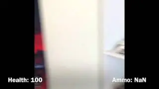 FPS IRL
