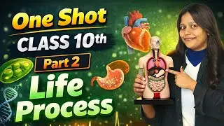 Life Process in One Shot | Part 2 | Biology | Board Exam 2026 | Board Ease