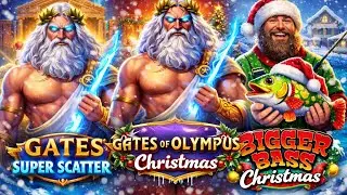Subscriber Slot Highlights