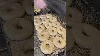 Making the Sesame Bagel #bagels #shorts