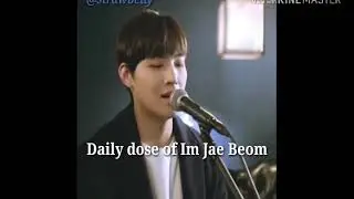 Daily dose of Im Jae Beom 💕 Everytime (Punch ft. Chen) +  Say Yes (Punch ft. Locco)
