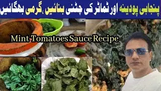 Podina and Tomatoes Chatni recipe|| Mint and tomatoes sauce recipe|| Desi Punjabi chatni recipe