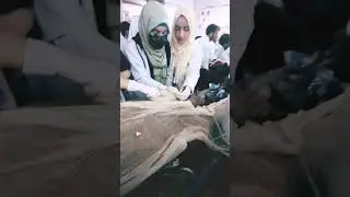 SKIMS MEDICAL COLLEGE#DREAM COLLEGE#MBBS#DISSECTION...
