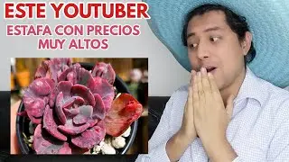 vende muy caro las suculentas a sus suscriptores donsuculento