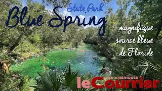 Blue Spring State Park : magnifique source bleue de Floride, remplie de lamantins !