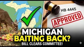 Палата представителей штата Мичиган одобрила законопроект HB 4445: Обновленная информация о закон...