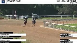 Work of the Day at Payson Park: Tappan Street & Lion of Justice worked 4 F on November 8th, 2025