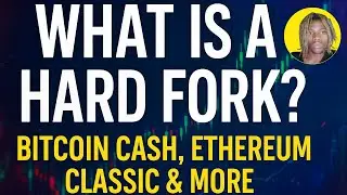 Что такое хард-форк? Объяснение Bitcoin Cash, Ethereum Classic и других