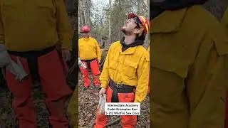 Size it up! Start small. Academy S-212 Wildfire Saw Class 👀 #wildlandfiretraining
