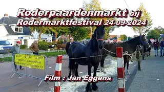 Roderpaardenmarkt bij Rodermarktfestival 24 09 2024