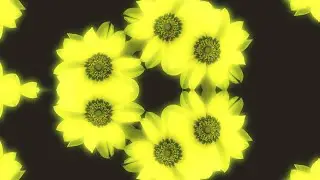 the infinite complexity of the natural world