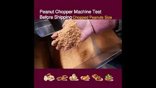 Peanuts Chopper Machine Test Before Shipping Chopped Peanuts Size and Proportion