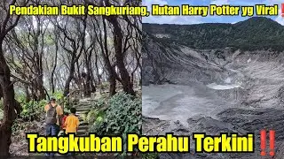 Tangkuban Perahu Terkini Harga Tiket Terbaru‼️Menjelajahi Hutan Harry Potter yg Viral