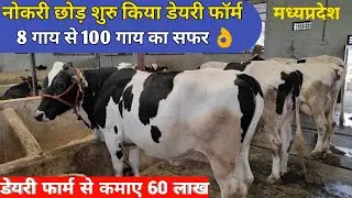 नौकरी छोड़कर शुरू किया डेयरी फार्म| Dairy farm started by leaving job