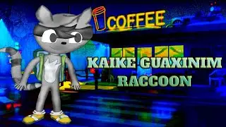 COLORINDO KAIKE GUAXINIM RACCOON