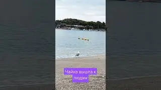 #magical #любовь #universalenergy #beach #море #исцелениедухадушитела #душа #summer
