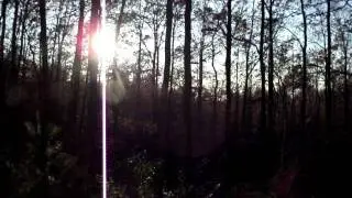 DSCF1511