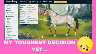 I'm sad but I know it's for the best! Horse Reality