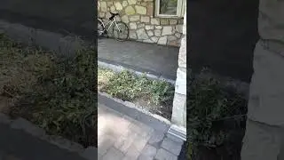 New asphalt driveway in dresher pa Montgomery county  with new walkway ,Belgium block￼