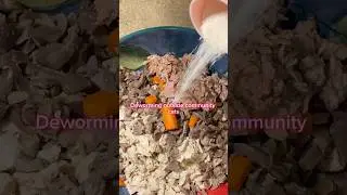 Deworming outside community cats ✨ #cats