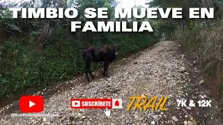 TIMBIO 7 Y 12K #timbio #cauca #run