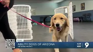 GIVING PROJECT: Nonprofit trains service dogs to help Tucsonans in need