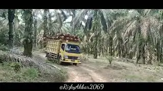 Kurir sawit bareng si kakek ke PT.SLS