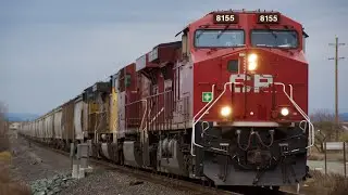 Canadian Pacific 8155 Leads a Grain Train Through Sunset Whitney!
