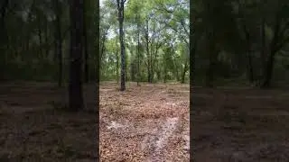 1.5 Acres in Putnam County Cleaned and Cleared (READY TO BUILD!)