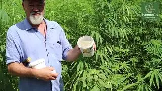 harmonius hanffeld schlieren - Produktevorstellung