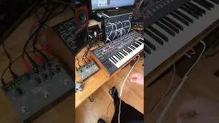 Carburetor Jam #synth #electronicmusic