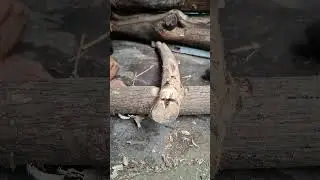 fire saw start a fire #firemaking #bushcraft #creativesurvival #survival